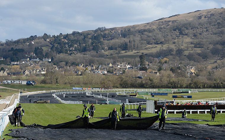 Cheltenham Festival: Cheltenham Racing festival 2013
