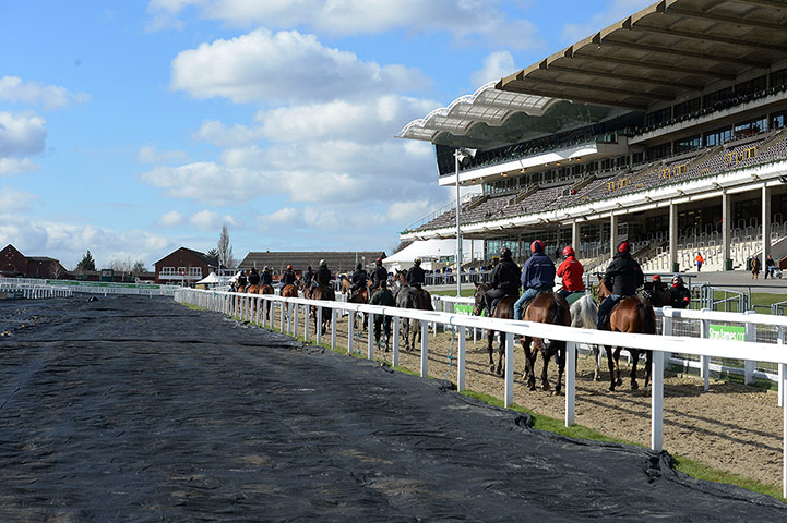 Cheltenham Festival: Cheltenham Racing festival 2013
