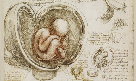 Leonardo sketch of foetus