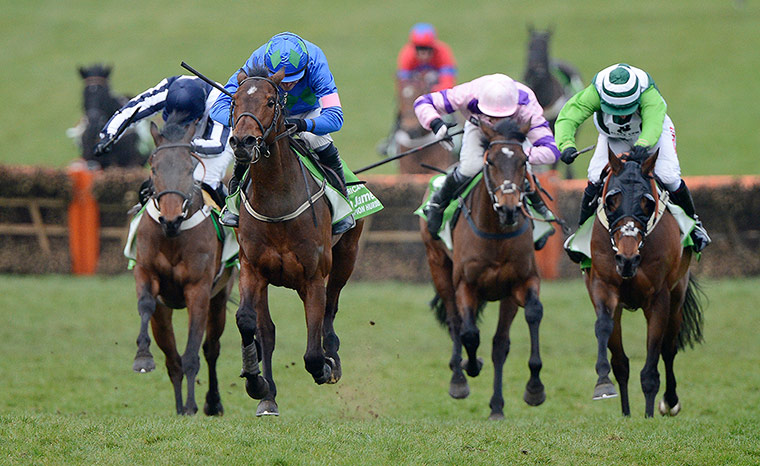 Cheltenham Festival: Cheltenham Racing festival 2013