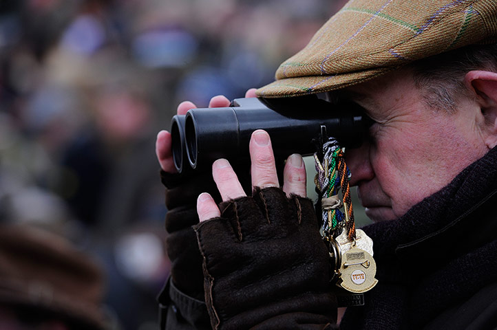 Cheltenham Festival: Cheltenham Racing festival 2013