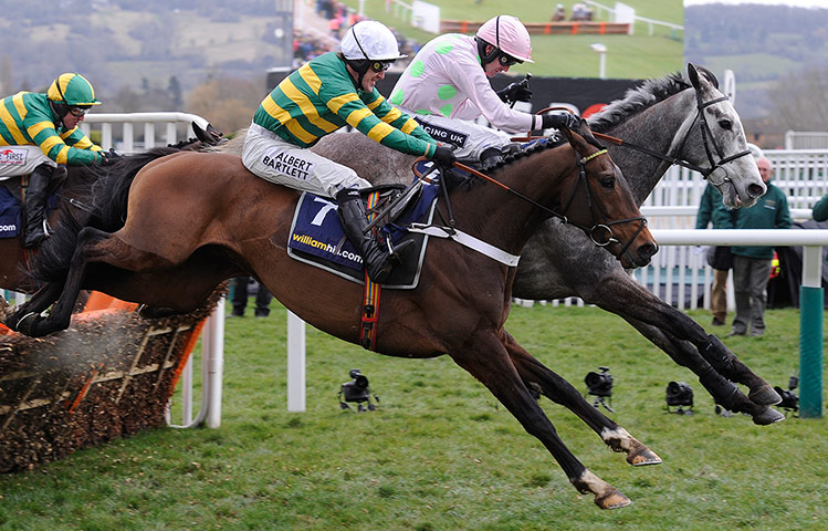 Cheltenham Festival: Cheltenham Racing festival 2013