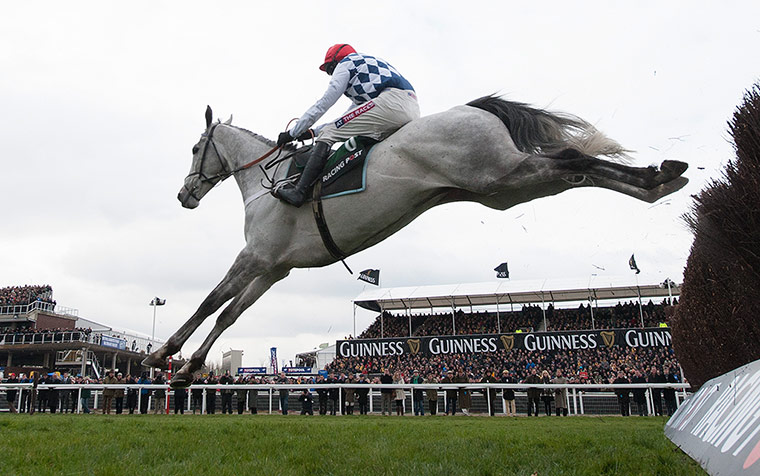 Cheltenham Festival: Cheltenham Racing festival 2013