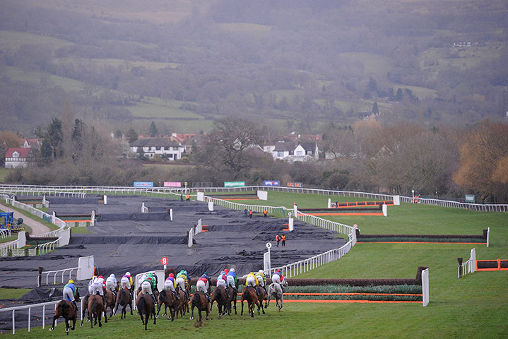 Cheltenham Festival: Cheltenham Racing festival 2013