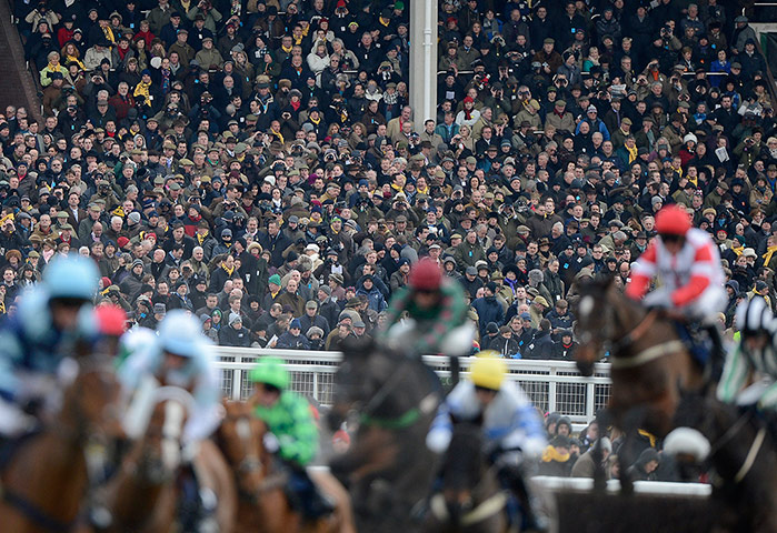 Cheltenham day 1: The packed main grandstand watch the 3rd race at Cheltenham on day 1