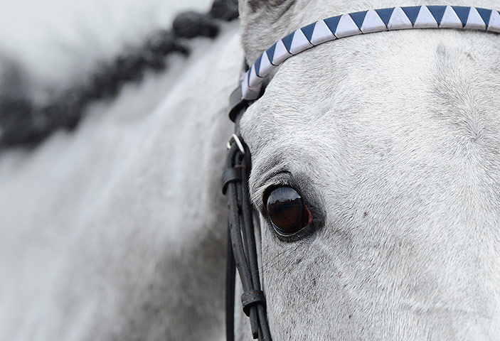 Cheltenham day 1: The eye of Simonsig 