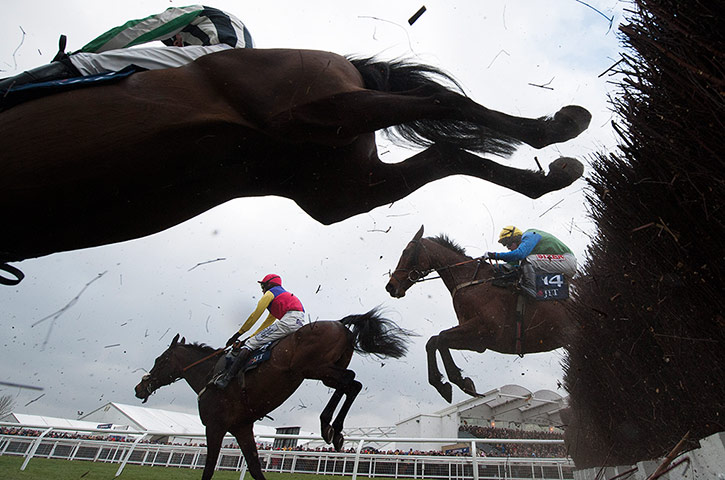 Cheltenham day 1: Golden Chieftain powers over a fence