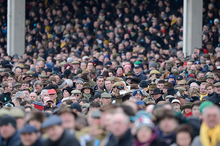 Cheltenham day 1: Punters in the main grandstand at Cheltenham Racing festival 2013