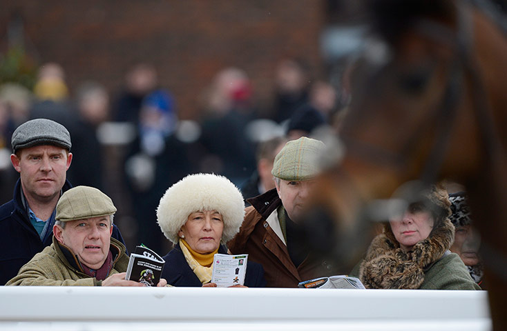 Cheltenham day 1: Punters study the horses as they come out 