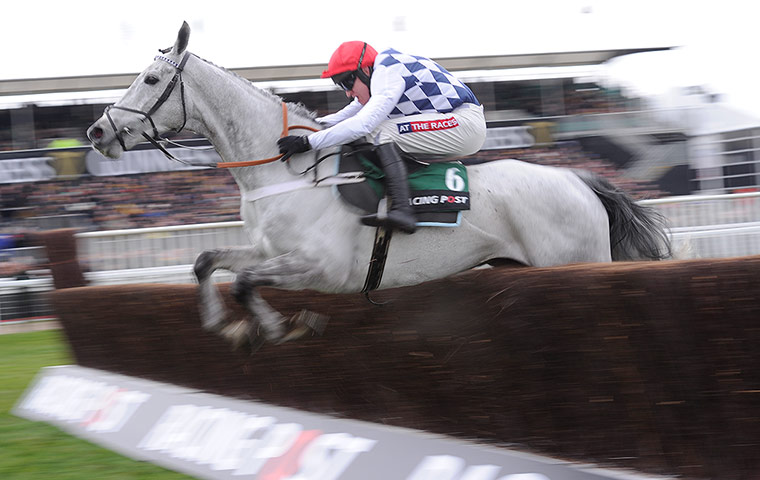 Cheltenham day 1: Simonsig jumps the last 