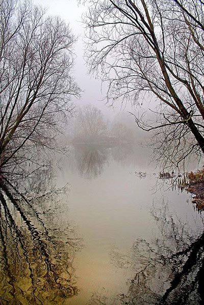 Green shoots: first flowers , new buds & catkins