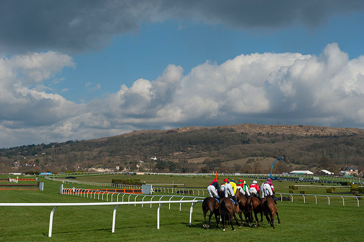 Cheltenham day 2: Runners in the second race of day 2 of the Cheltenham Racing festival 2013