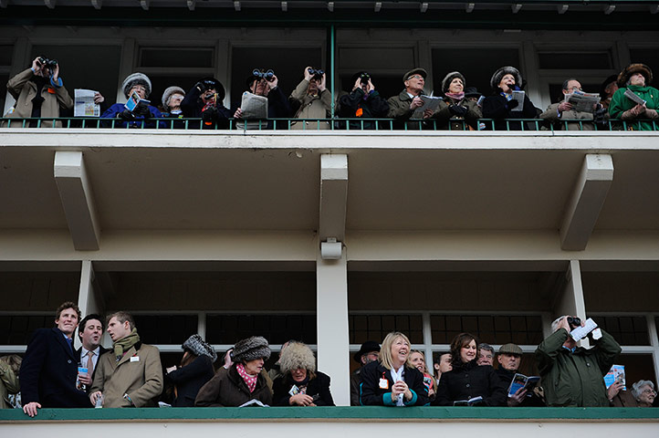 Cheltenham day 2: Racegoers watch from boxes in the main stand