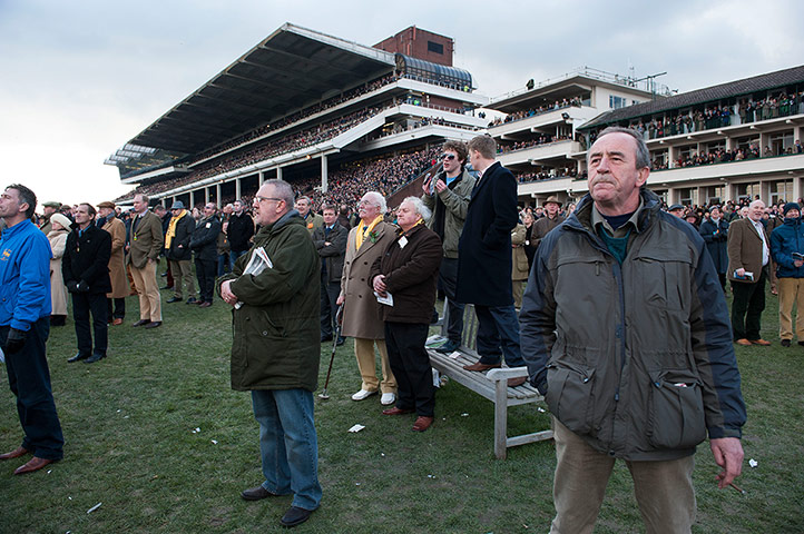 Cheltenham day 2: Racegoers trying to get a view of the 5th race