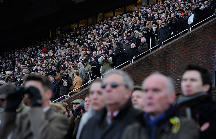 Cheltenham day 2: Racegoers trying to get a view of the 5th race on day 2 of Cheltenham 2013