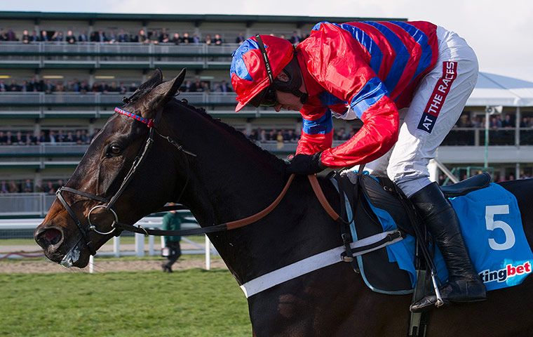 Cheltenham day 2: Sprinter Sacre and Barry Geraghty in the Champion Chase