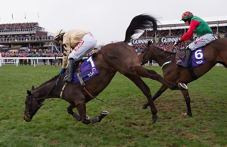 Cheltenham day 2: Cheltenham Racing festival 2013