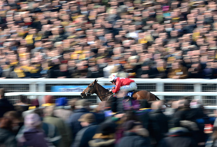 Cheltenham day 2 : The New One with Sam Twiston-Davies on board 