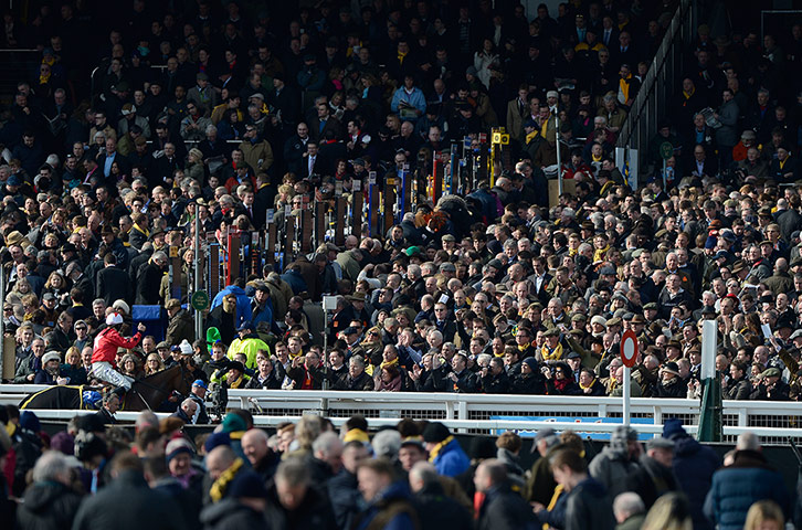 Cheltenham day 2 : The winner of the 2nd race The New One celebrates