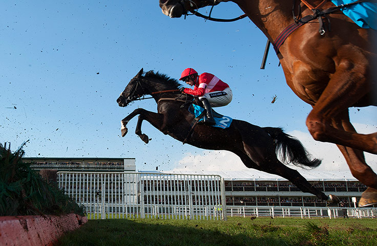 Cheltenham day 2 : Sanctuaire with Ruby Walsh on board take a huge leap at a fence