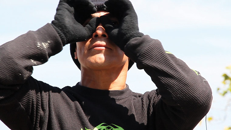 Exhibitionist1603: Yoshua Okón: Octopus