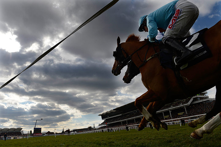 Cheltenham Day 3: Runners in the 2nd race head past the stands 