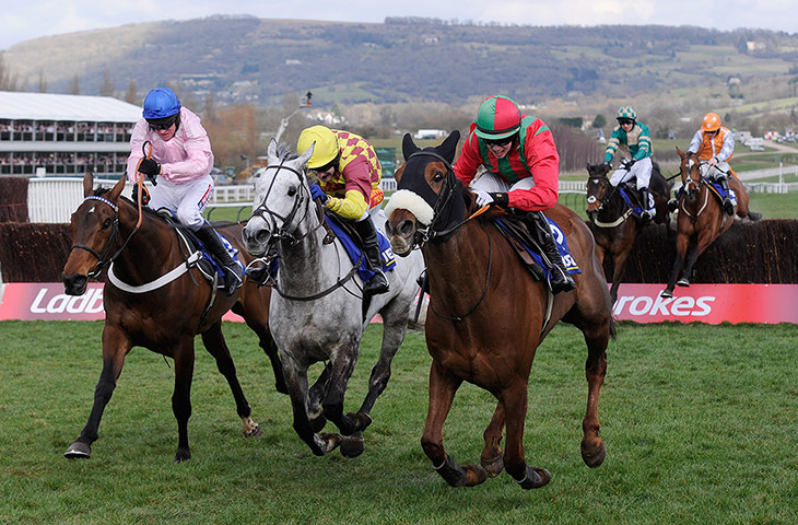 Cheltenham Day 3: Benefficient wins at the Cheltenham Racing festival 2013