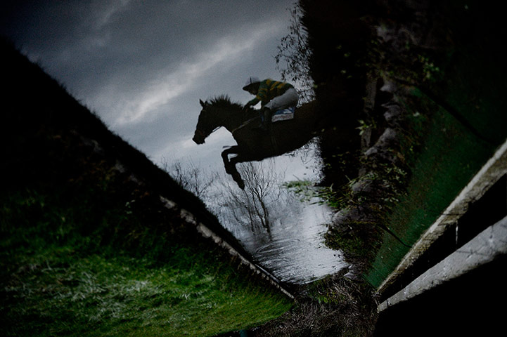 Cheltenham day 3 part 2: Outlaw Pete with Mr Josh Halley on board