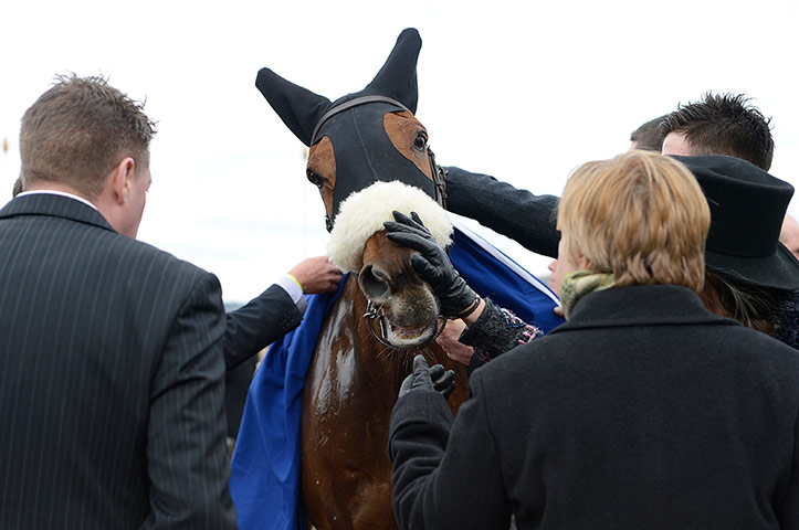 Cheltenham day 3 part 2: Benefficient