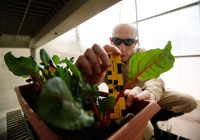 Crew 125 Mars B mission: Crew 125 EuroMoonMars B mission