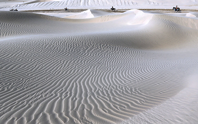 24 hours in pictures:  Sheikh Sultan Bin Zayed al-Nahyan International Equestrian festival 