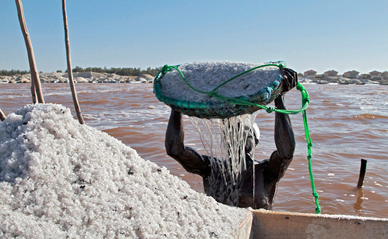 Senegal: salt production on the banks of Lake Retba