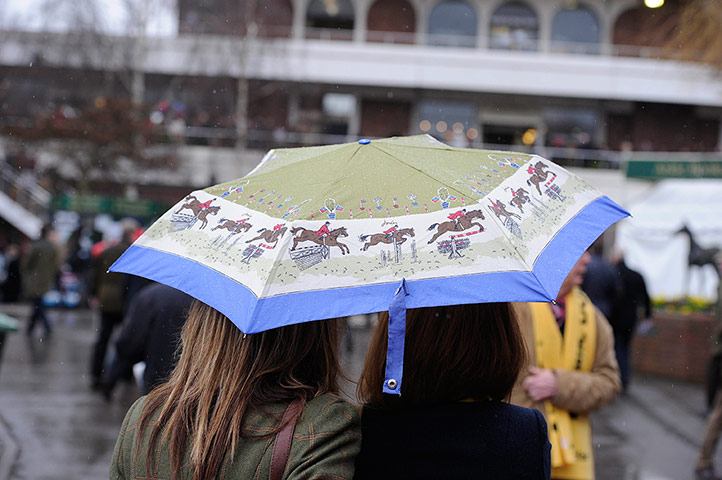 Cheltenham gold cup: Umbrella at Cheltenham Racing festival 2013