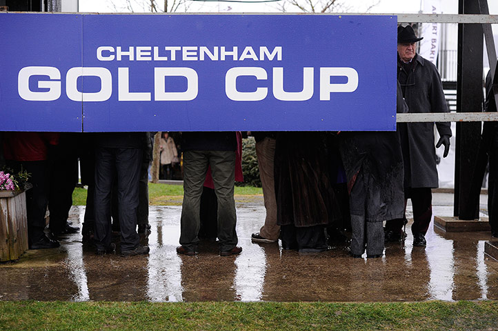 Cheltenham gold cup: Rain at Cheltenham