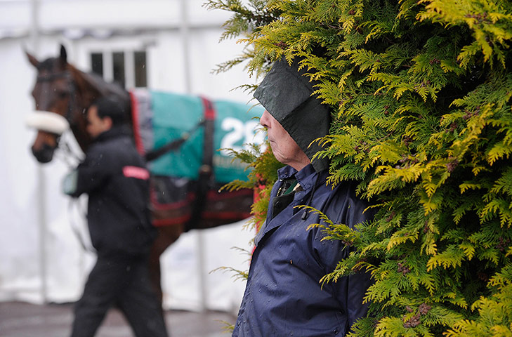 Cheltenham gold cup: Sheltering from the rain at Cheltenham