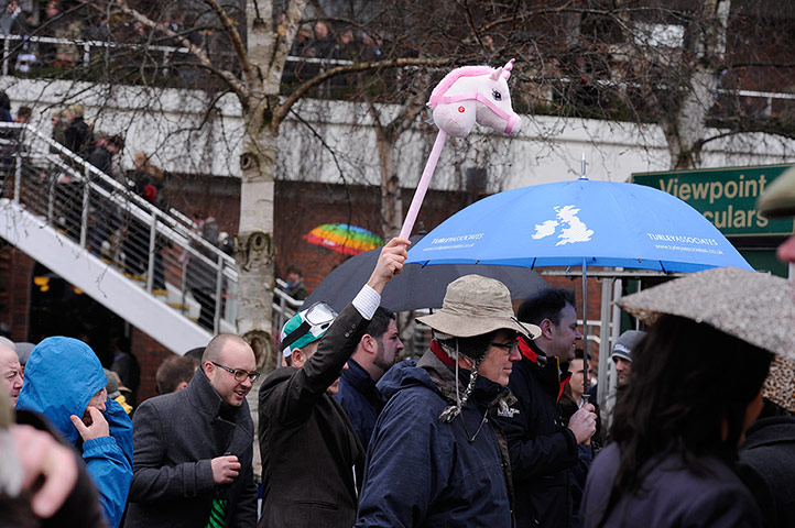 Cheltenham gold cup: Guide at Cheltenham