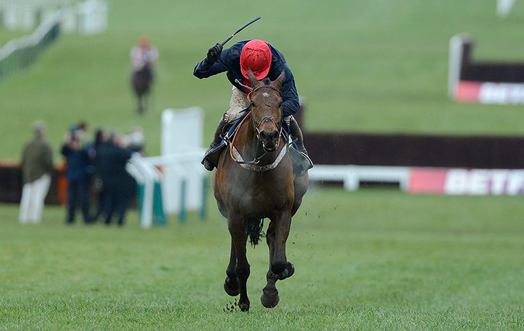 Cheltenham gold cup: Barry Geraghty raises his whip in triumph as Bobs Worth wins the race