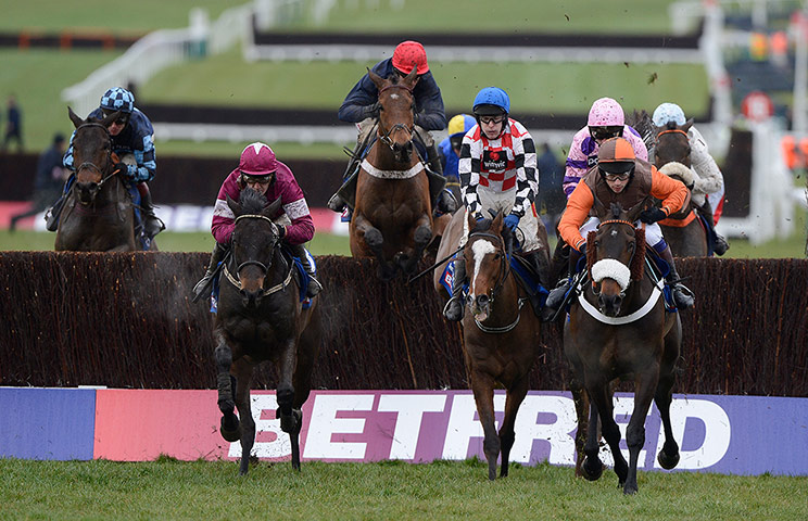 Cheltenham gold cup: Bobs Worth jumps a fence