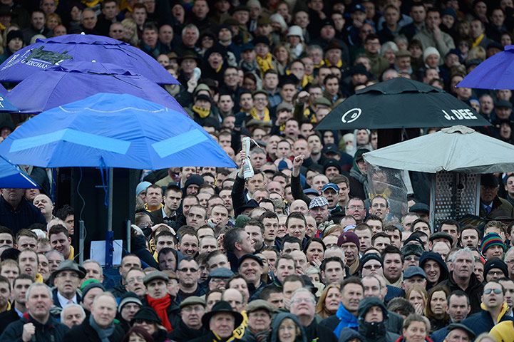 Cheltenham gold cup: The crowd watch the big race