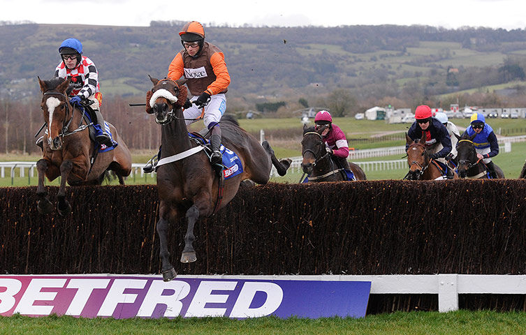 Cheltenham gold cup: Long Run with Sam Whaley-Cohen on board