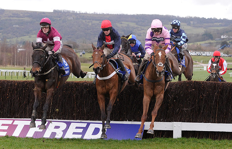 Cheltenham gold cup: Sir des Champs, Bobs Worth and Silviniaco Conti