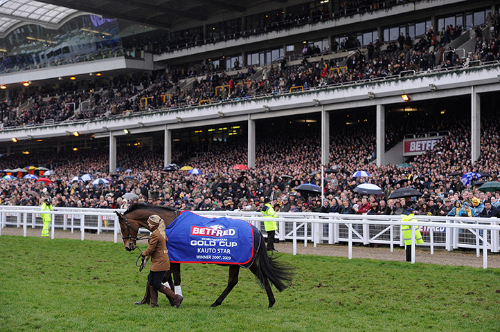 Cheltenham gold cup: Double winner Kauto Star parades in front of the stands before the race