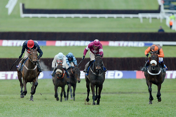 Cheltenham gold cup: Bobs Worth (1st), Sir des Champs (2nd) and Long Run (3rd)
