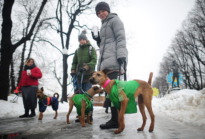 St Patrick's Day Parade: St. Patrick's Day celebrated in Moscow
