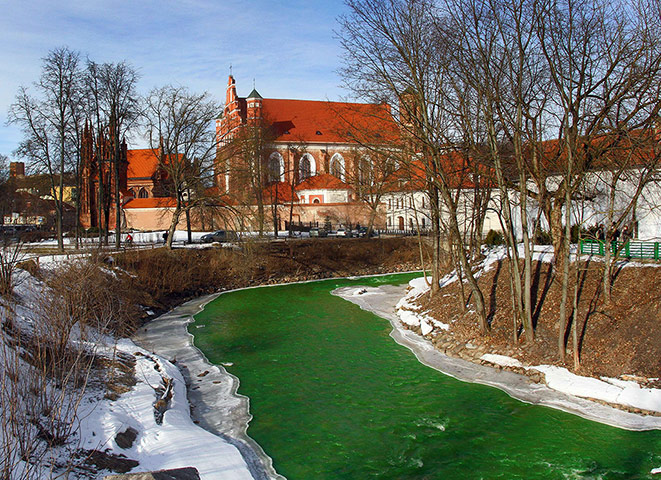 St Patrick's Day Parade: St Patrick's Day Parade