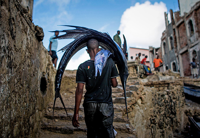24 hours: Mogadishu, Somalia: A man carries a large sailfish