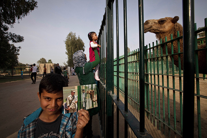 Iraq then and now: A woman and her child look at a camel at the Baghdad Zoo