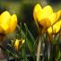 Fwd: Tender shoots of spring: Guardian readers' pictures - http://www.guardian.co.uk/environment/gallery/2013/mar/20/spring-readers-pictures (via http://ff.im/1eT0H0)