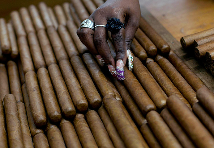 24 Hours: A worker selects cigars at the H Upmann cigar factory in Havana