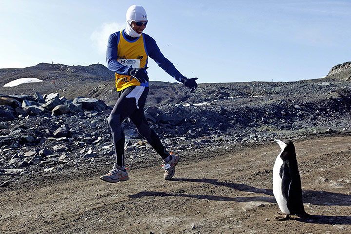 24 Hours: A runner looks at a penguin as he takes part in the Antarctic Marathon